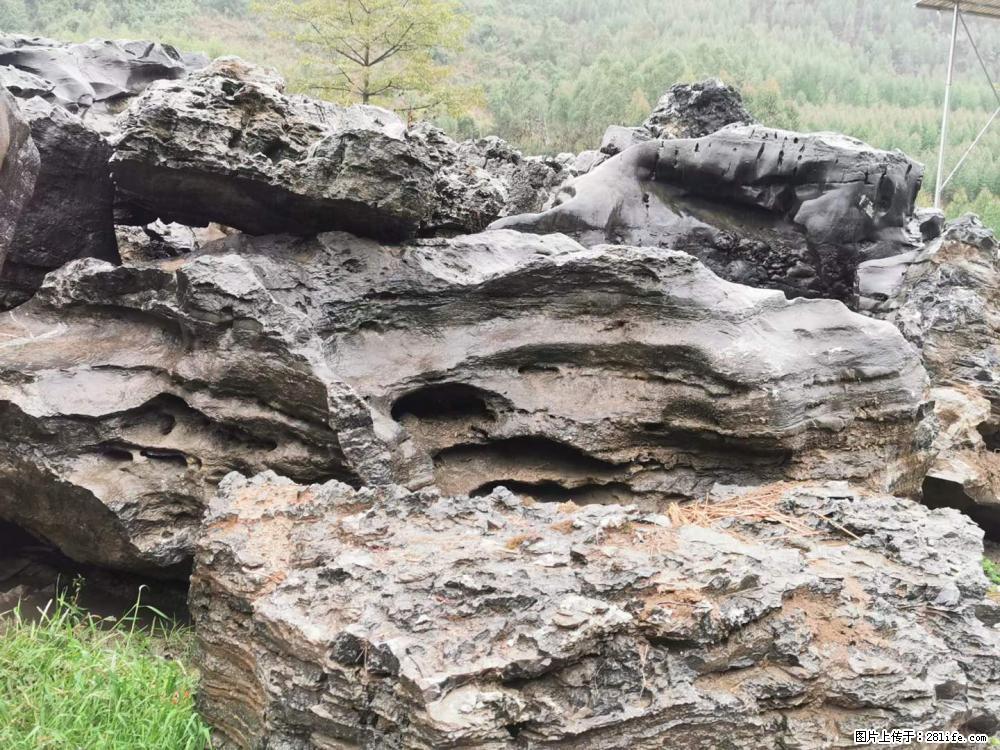 风景石、假山石大量有货，有需要的欢迎联系 - 新手上路 - 孝感生活社区 - 孝感28生活网 xiaogan.28life.net