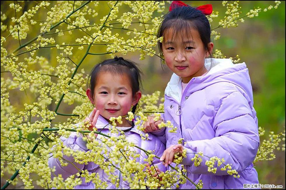 【春天，广西桂林灌阳县向您发出邀请！】米珠山前有片山苍子花在飘香 - 游山玩水 - 孝感生活社区 - 孝感28生活网 xiaogan.28life.net