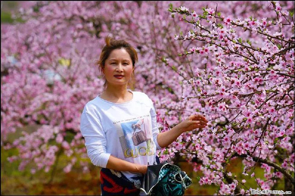 【春天，广西桂林灌阳县向您发出邀请！】官庄村有个醉美的桃花园 - 游山玩水 - 孝感生活社区 - 孝感28生活网 xiaogan.28life.net