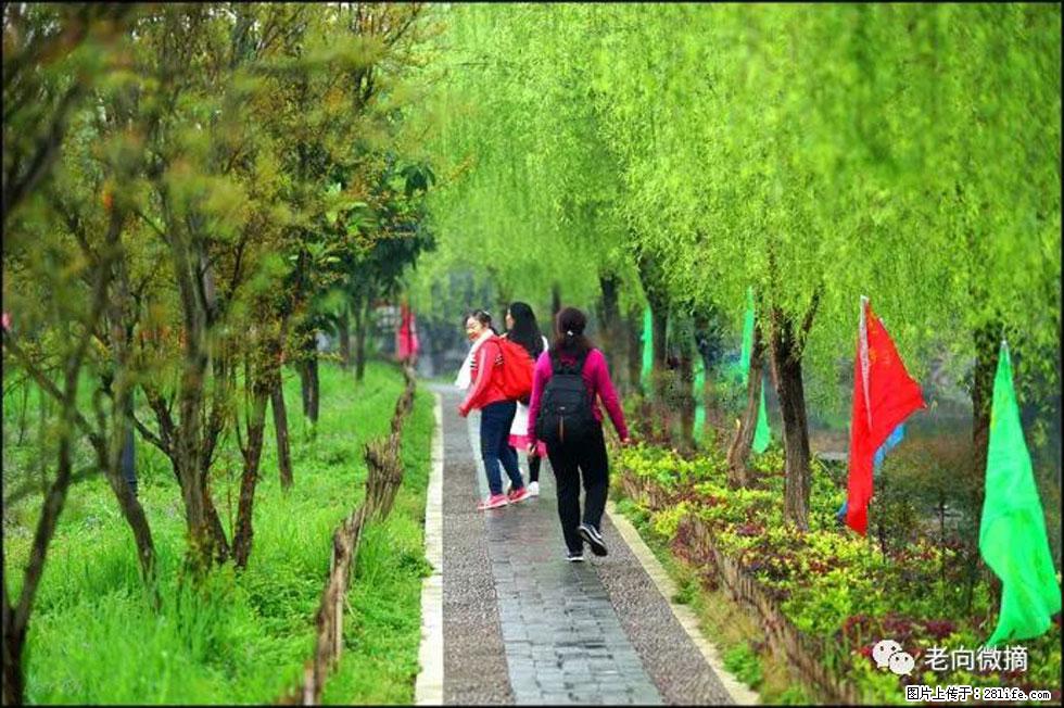 【春天，广西桂林灌阳县向您发出邀请！】江口老街又逢春 - 游山玩水 - 孝感生活社区 - 孝感28生活网 xiaogan.28life.net
