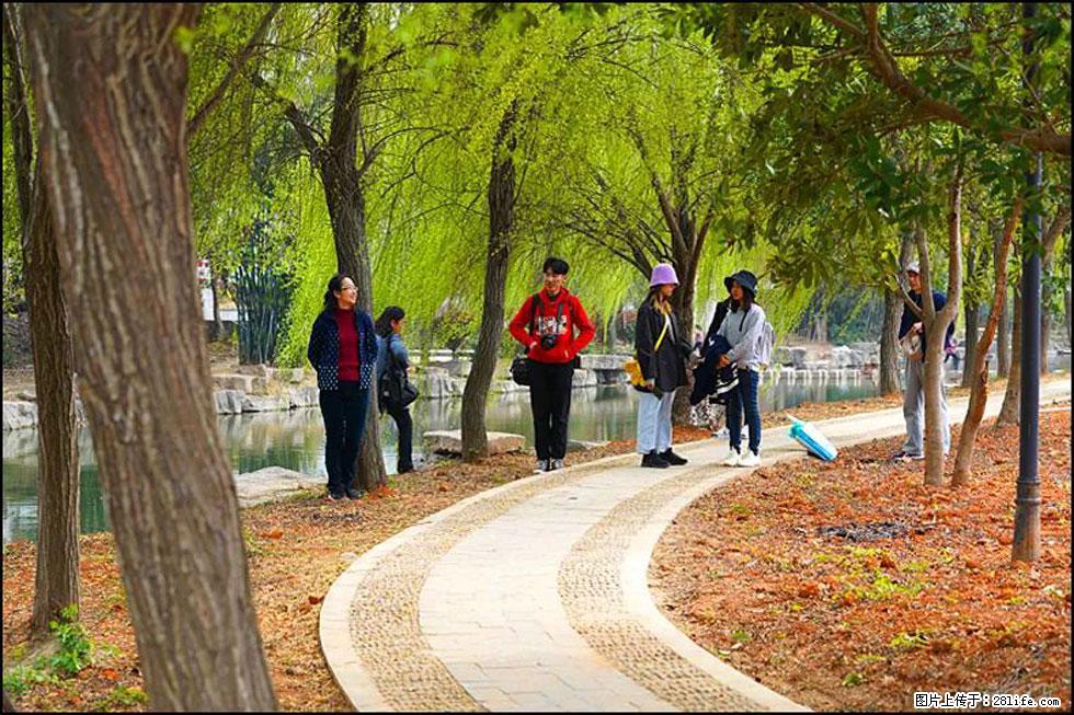 【春天，广西桂林灌阳县向您发出邀请！】江口老街又逢春 - 游山玩水 - 孝感生活社区 - 孝感28生活网 xiaogan.28life.net