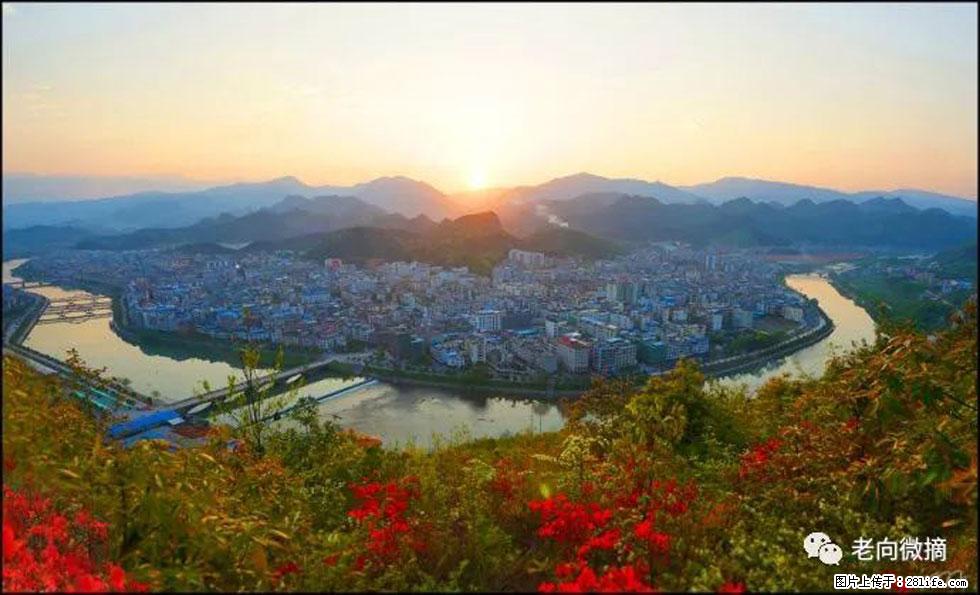 【春天，广西桂林灌阳县向您发出邀请！】登麒麟山，相约映山红 - 游山玩水 - 孝感生活社区 - 孝感28生活网 xiaogan.28life.net