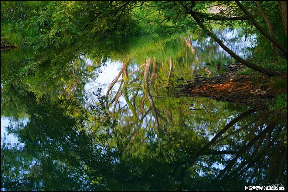 【春天,广西桂林灌阳县向您发出邀请!】熊家寨湿地公园 - 游山玩水 - 孝感生活社区 - 孝感28生活网 xiaogan.28life.net