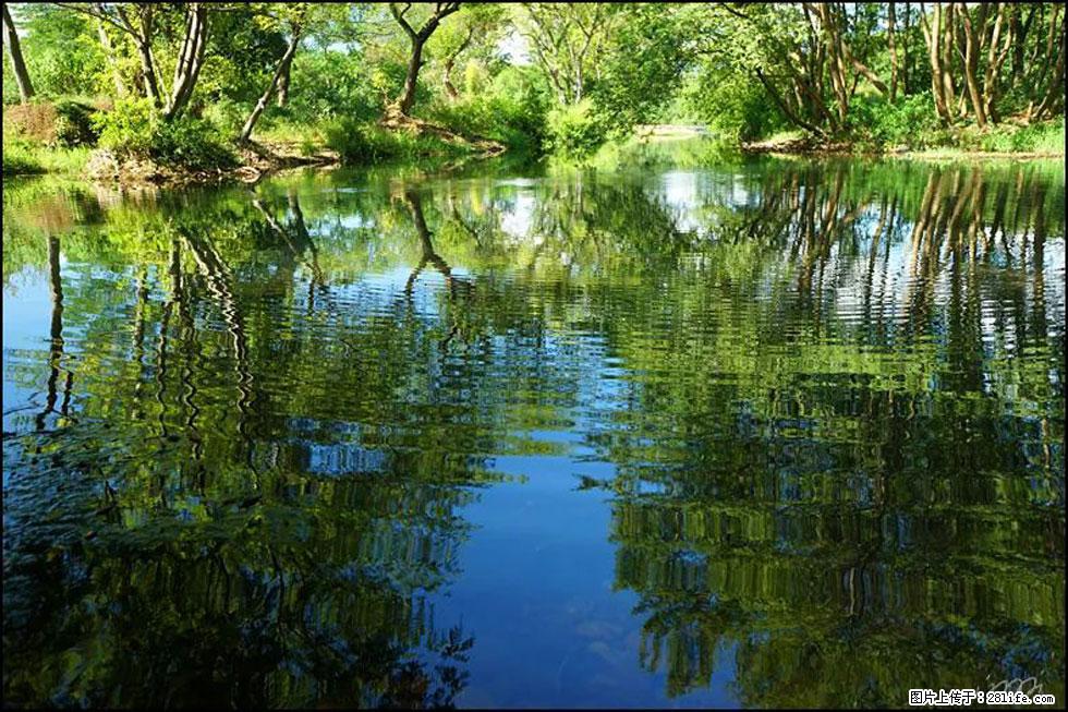 【春天,广西桂林灌阳县向您发出邀请!】熊家寨湿地公园 - 游山玩水 - 孝感生活社区 - 孝感28生活网 xiaogan.28life.net