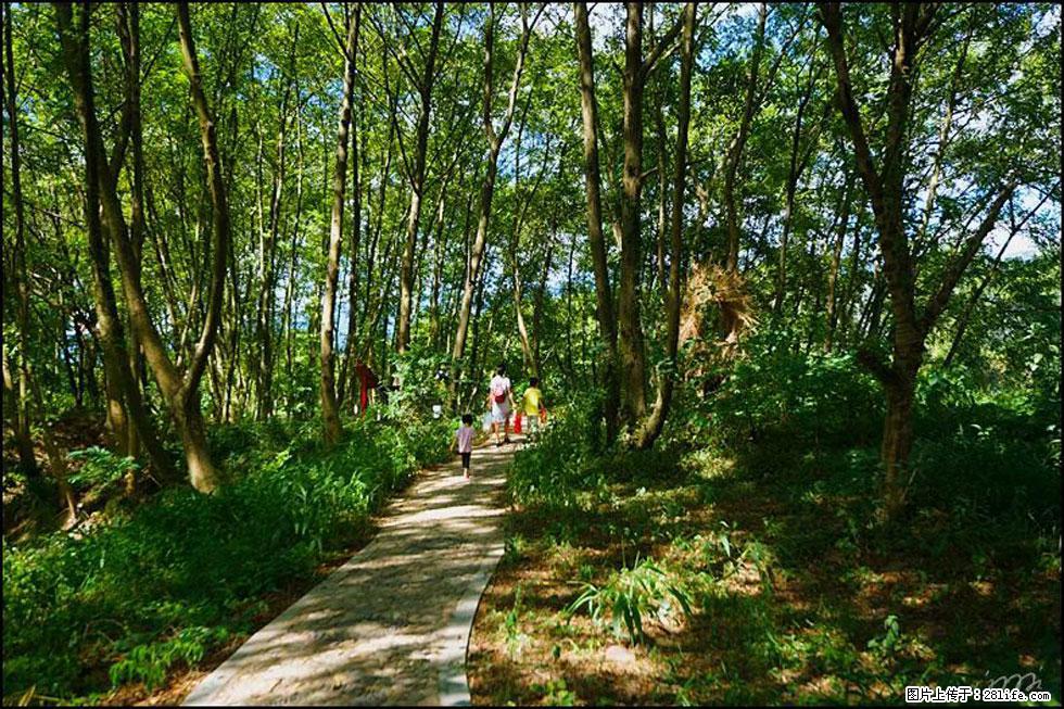 【春天,广西桂林灌阳县向您发出邀请!】熊家寨湿地公园 - 游山玩水 - 孝感生活社区 - 孝感28生活网 xiaogan.28life.net
