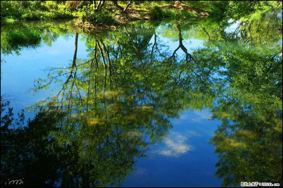 【春天,广西桂林灌阳县向您发出邀请!】熊家寨湿地公园 - 游山玩水 - 孝感生活社区 - 孝感28生活网 xiaogan.28life.net