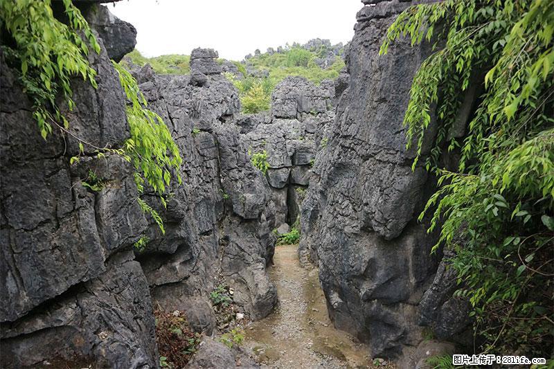 桂林旅游名城景点：灌阳文市石林 - 游山玩水 - 孝感生活社区 - 孝感28生活网 xiaogan.28life.net