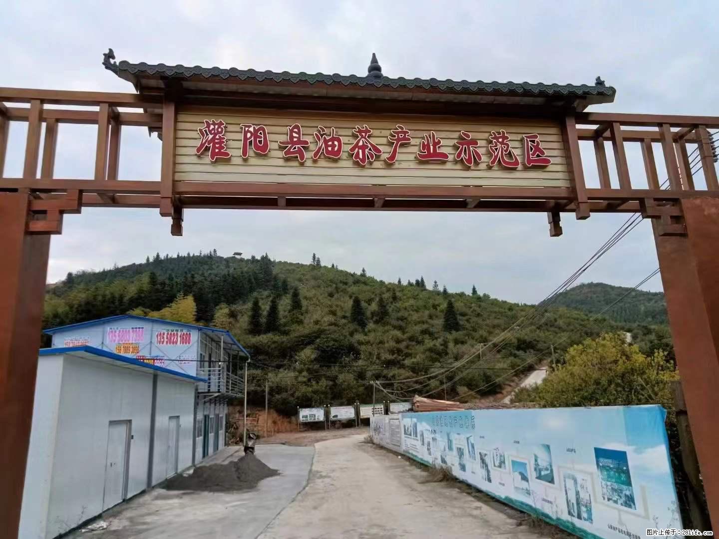 【灌阳县油茶产业示范区】一个有着充实的精神生活的人，对待身外之物自会有一种淡泊的态度 - 土特产 - 饮食特产 - 孝感分类信息 - 孝感28生活网 xiaogan.28life.net