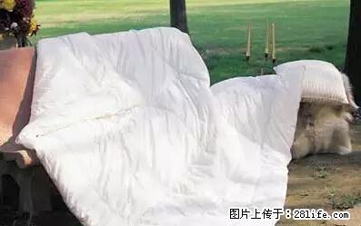 被子有异味？只要这样做，比晒太阳还强100倍！ - 家居生活 - 孝感生活社区 - 孝感28生活网 xiaogan.28life.net