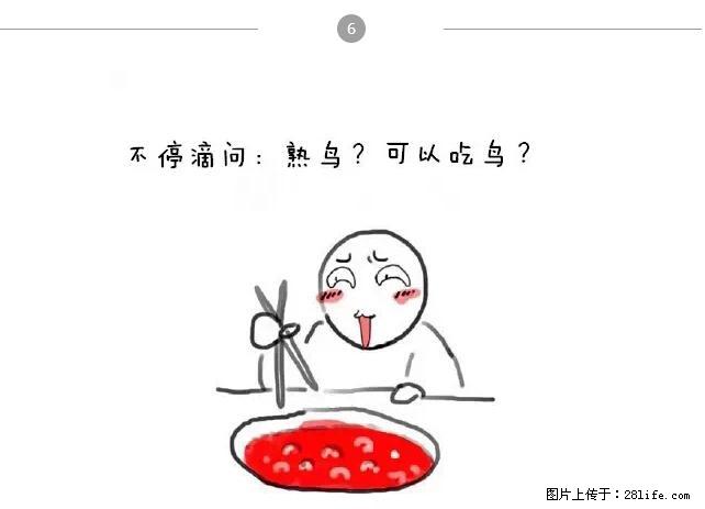千万不要和这9种哈卵一起吃火锅! - 美食天地 - 孝感生活社区 - 孝感28生活网 xiaogan.28life.net