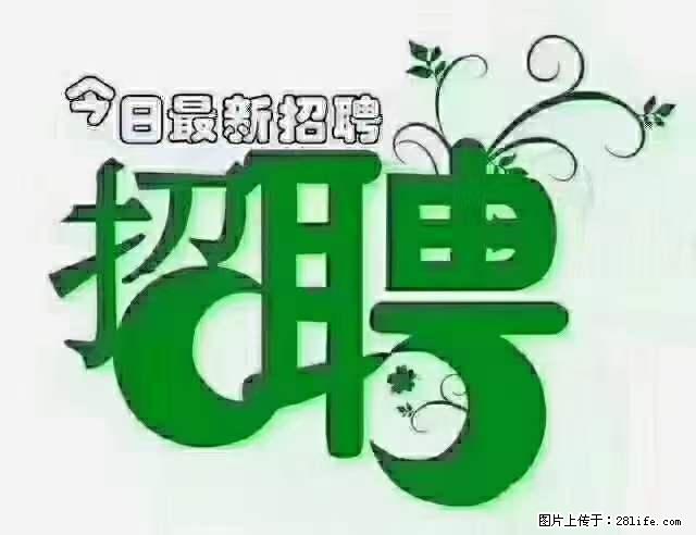 上海隔离酒店招人：55岁以下 男女不限 - 职场交流 - 孝感生活社区 - 孝感28生活网 xiaogan.28life.net