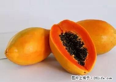 晕车、脚气、牙齿变黄、皮肤粗糙？学会这些三分钟搞定！ - 孝感生活资讯 - 孝感28生活网 xiaogan.28life.net