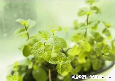 晕车、脚气、牙齿变黄、皮肤粗糙？学会这些三分钟搞定！ - 孝感生活资讯 - 孝感28生活网 xiaogan.28life.net