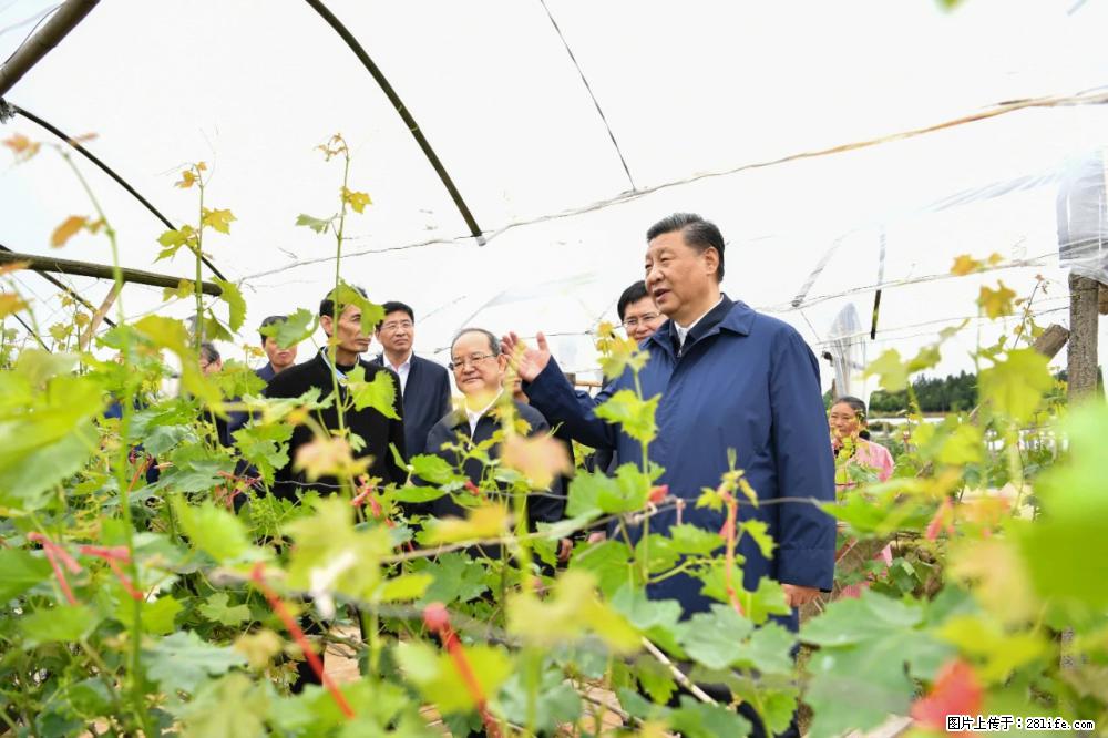 习近平赴广西考察调研 - 孝感生活资讯 - 孝感28生活网 xiaogan.28life.net