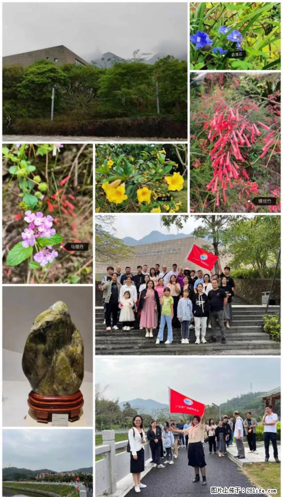 “粤灌文化 美好生活”油茶文化主题活动在广东深圳成功举办 - 孝感生活资讯 - 孝感28生活网 xiaogan.28life.net