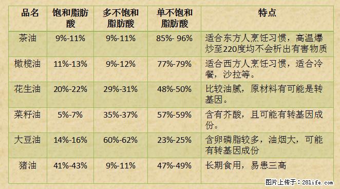 揭秘茶油的5大核心营养成分!被称为人体健康的“守护盾”! - 孝感生活资讯 - 孝感28生活网 xiaogan.28life.net