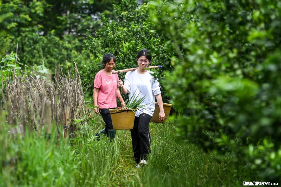 全网追的“扁担女孩”,找了一份暑假工,时薪12元 - 孝感生活资讯 - 孝感28生活网 xiaogan.28life.net