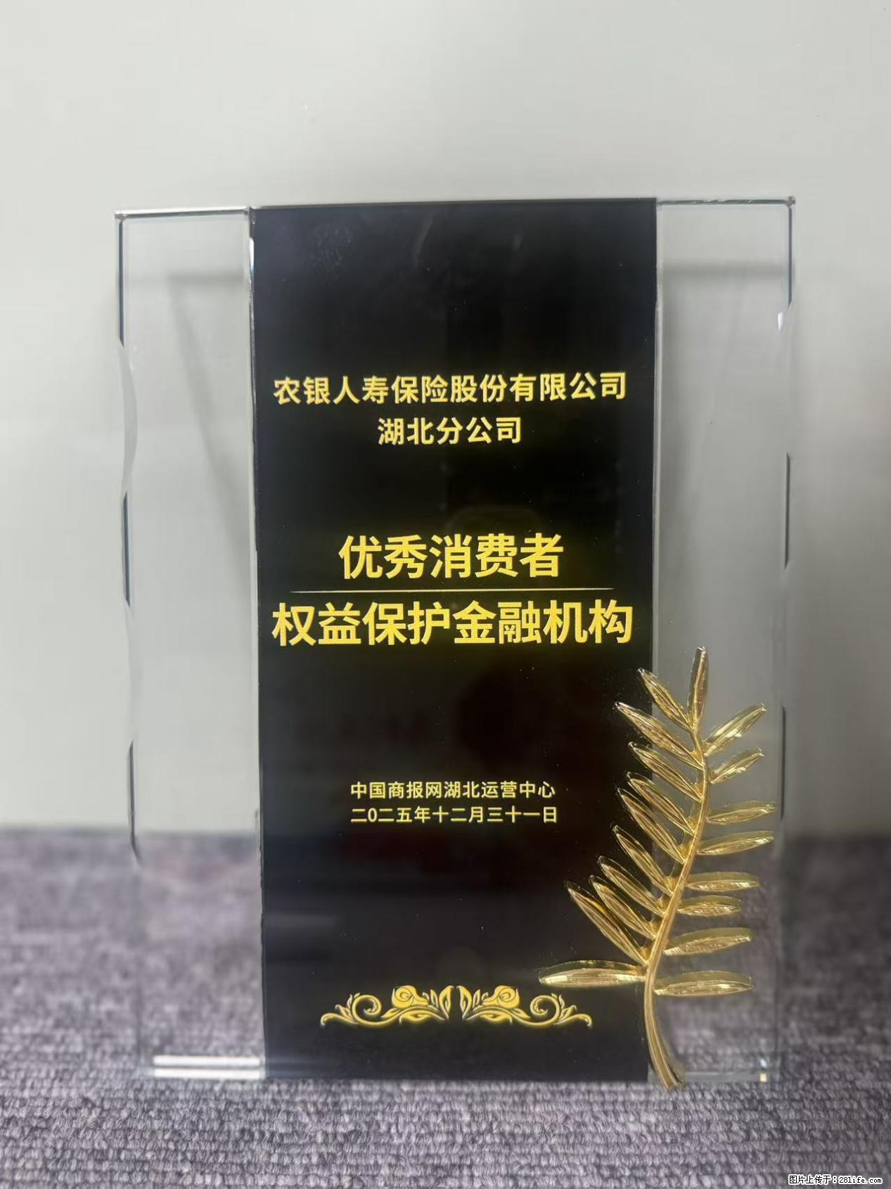 农银人寿湖北分公司荣获中国商报网颁发2025年度“优秀消费者权益保护金融机构” - 孝感生活资讯 - 孝感28生活网 xiaogan.28life.net