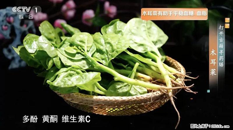 比牛奶补钙还厉害！凉血解毒、稳血糖...这菜冬天必吃，很多人却当草 - 孝感生活资讯 - 孝感28生活网 xiaogan.28life.net
