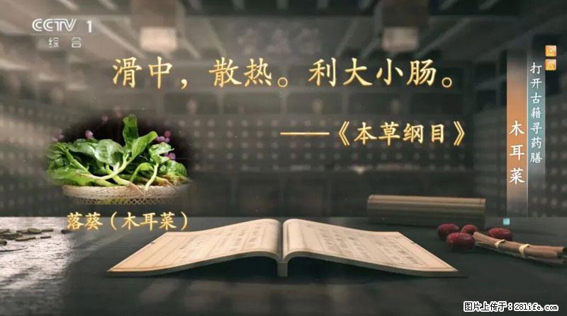 比牛奶补钙还厉害！凉血解毒、稳血糖...这菜冬天必吃，很多人却当草 - 孝感生活资讯 - 孝感28生活网 xiaogan.28life.net
