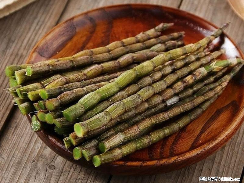 铁皮石斛的作用与功能主治 - 孝感生活资讯 - 孝感28生活网 xiaogan.28life.net