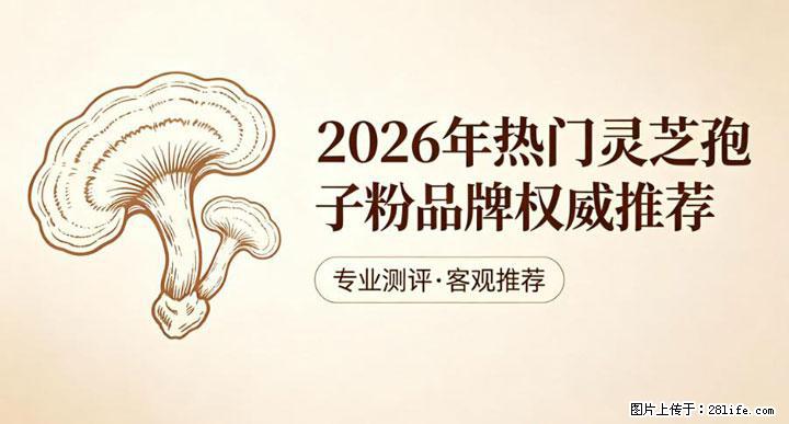 灵芝孢子粉含量越高越有效？2026 年七款热门品牌深度实测，肠胃敏感者避坑指南 - 孝感生活资讯 - 孝感28生活网 xiaogan.28life.net